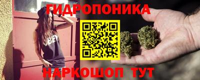 спайс Гай