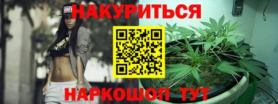 спайс Гай