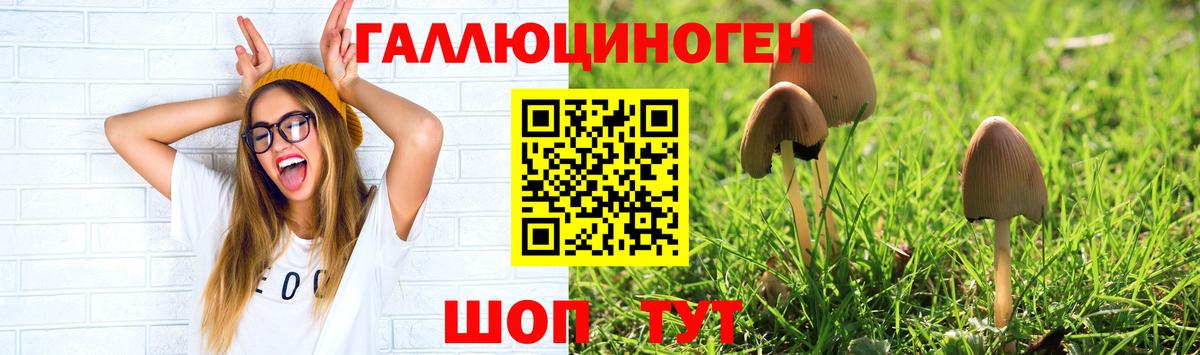 Балаково  Псилоцибиновые грибы GOLDEN TEACHER  Вход с VPN 